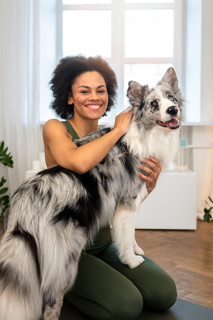 Cão em casa, no colo do tutor